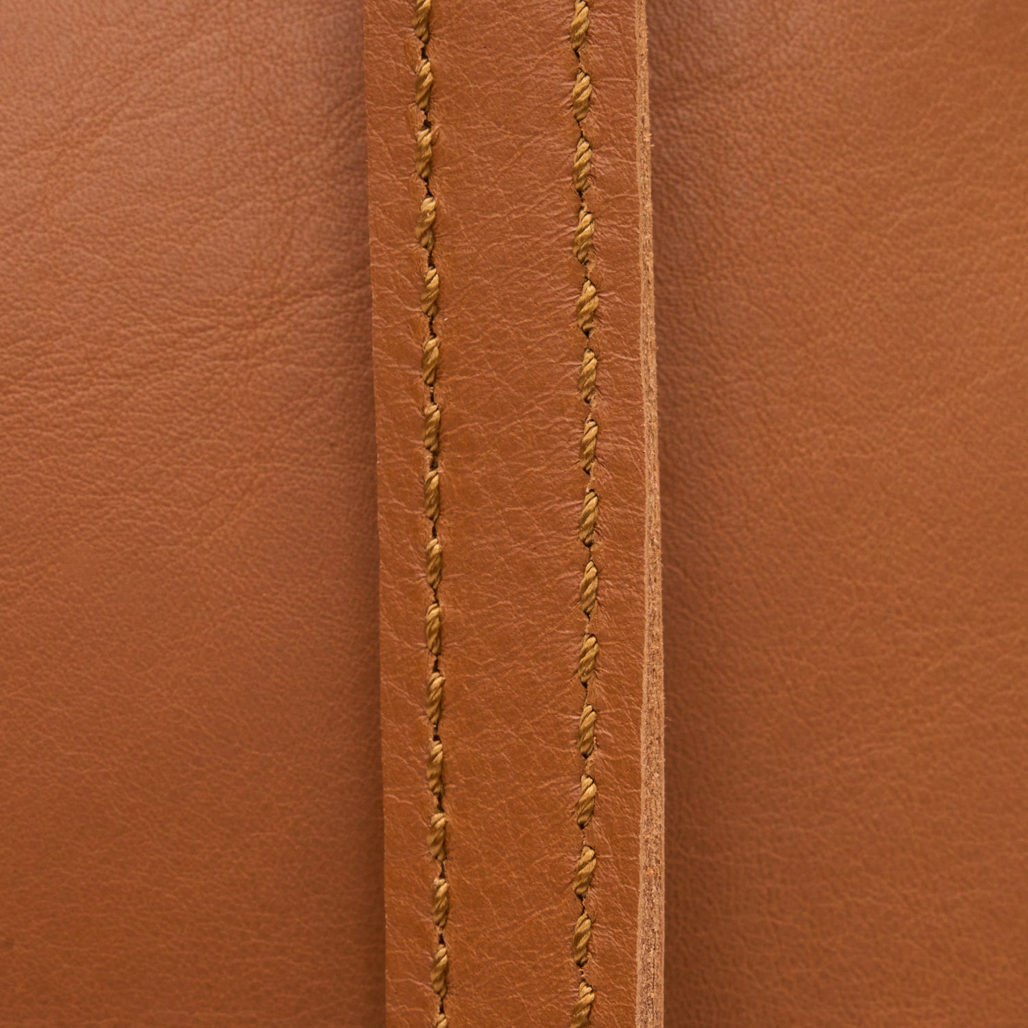 Blaire Sturdy Leather Handbag